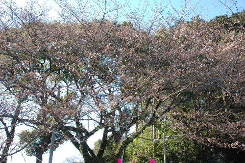 2012-3-16-1.jpg